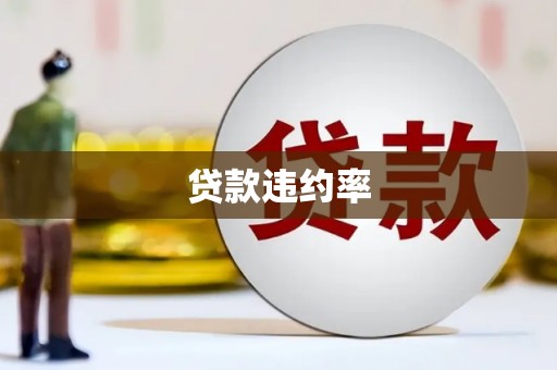 清河贷款违约率