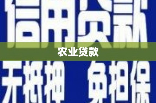 清河农业贷款