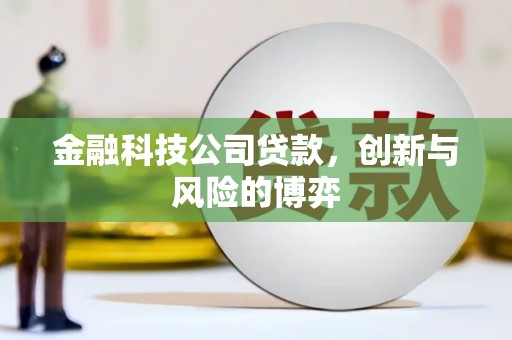 清河金融科技公司贷款，创新与风险的博弈