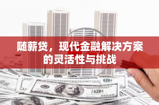 清河随薪贷，现代金融解决方案的灵活性与挑战