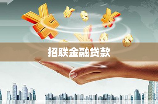 清河招联金融贷款