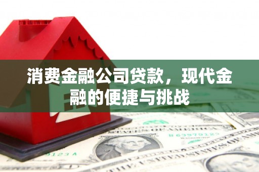 清河消费金融公司贷款，现代金融的便捷与挑战