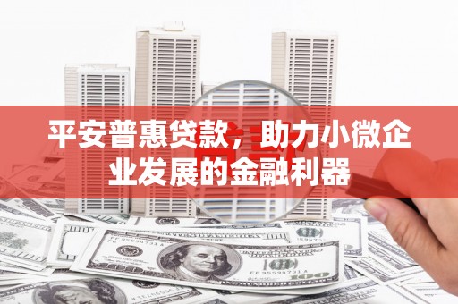 清河平安普惠贷款，助力小微企业发展的金融利器