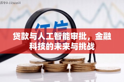 清河贷款与人工智能审批，金融科技的未来与挑战
