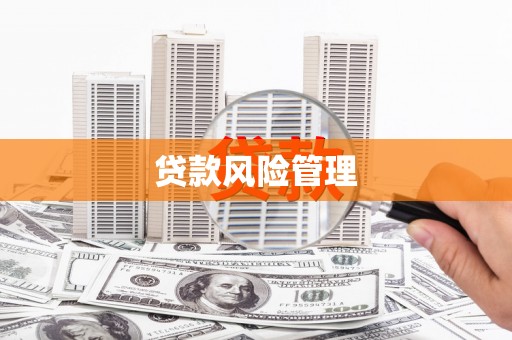 清河贷款风险管理