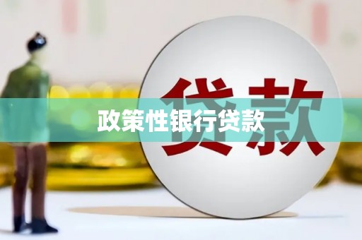 清河政策性银行贷款