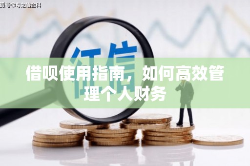 清河借呗使用指南，如何高效管理个人财务