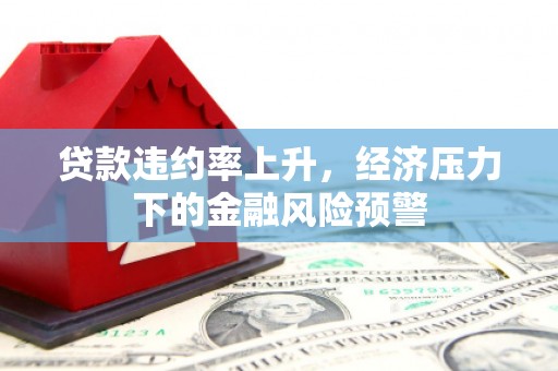 清河贷款违约率上升，经济压力下的金融风险预警