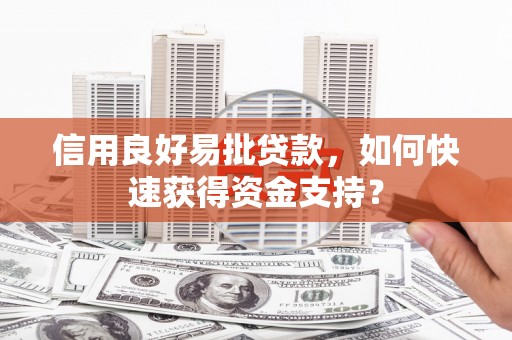 清河信用良好易批贷款，如何快速获得资金支持？