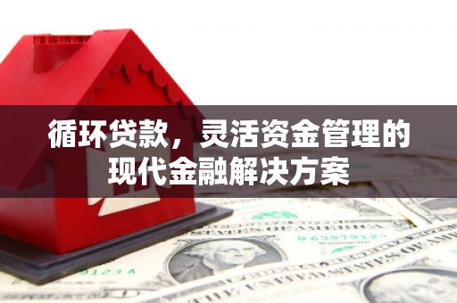 清河循环贷款，灵活资金管理的现代金融解决方案