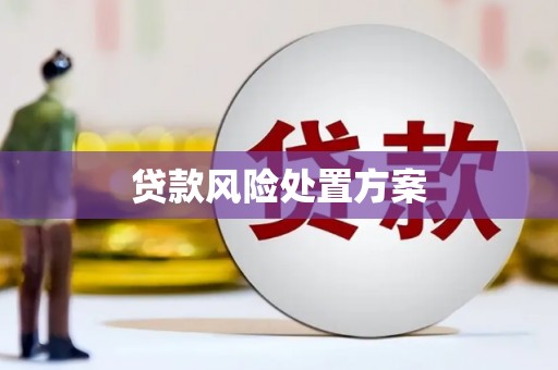 清河贷款风险处置方案