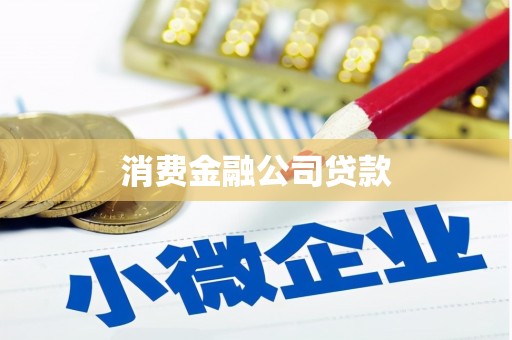 清河消费金融公司贷款
