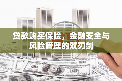 清河贷款购买保险，金融安全与风险管理的双刃剑