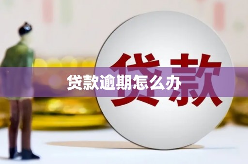 清河贷款逾期怎么办