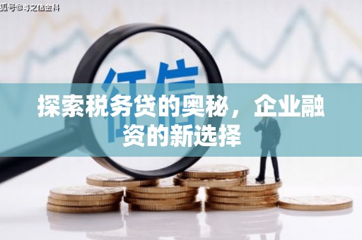 清河探索税务贷的奥秘，企业融资的新选择