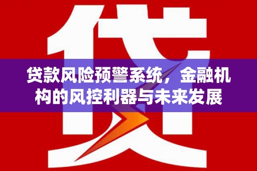 清河贷款风险预警系统，金融机构的风控利器与未来发展