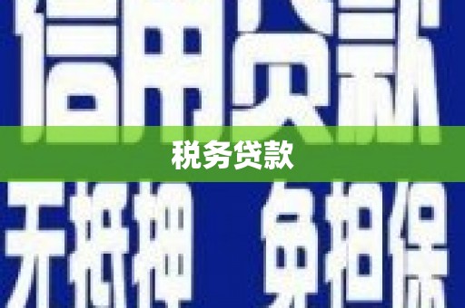 清河税务贷款