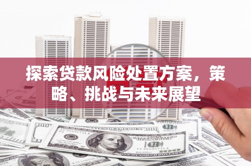 清河探索贷款风险处置方案，策略、挑战与未来展望