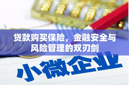 清河贷款购买保险，金融安全与风险管理的双刃剑