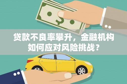 清河贷款不良率攀升，金融机构如何应对风险挑战？