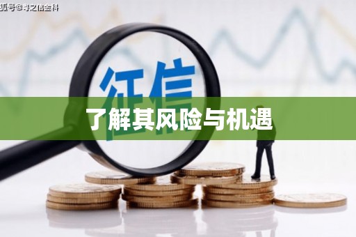 清河了解其风险与机遇