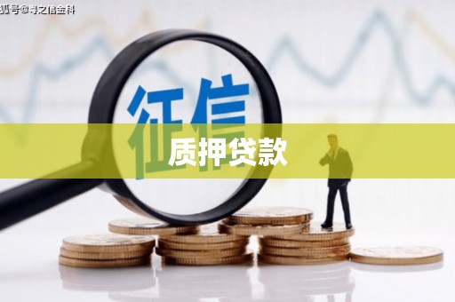 清河质押贷款