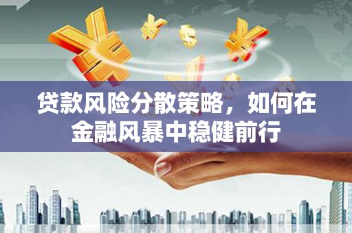 清河贷款风险分散策略，如何在金融风暴中稳健前行