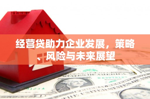清河经营贷助力企业发展，策略、风险与未来展望