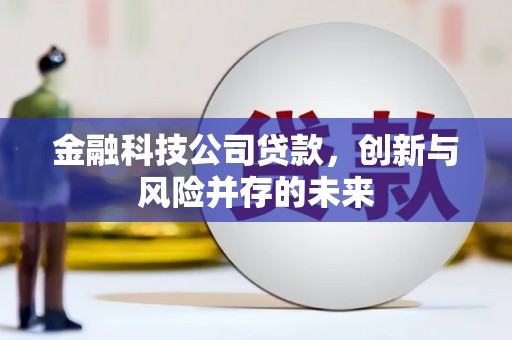 清河金融科技公司贷款，创新与风险并存的未来