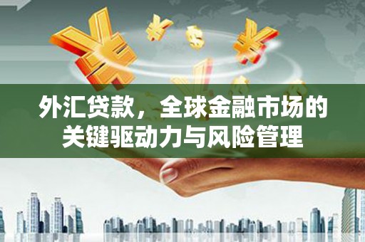清河外汇贷款，全球金融市场的关键驱动力与风险管理