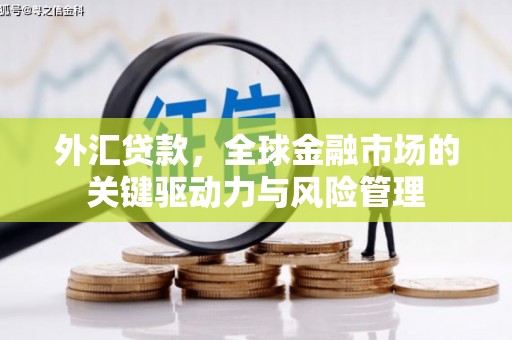 清河外汇贷款，全球金融市场的关键驱动力与风险管理