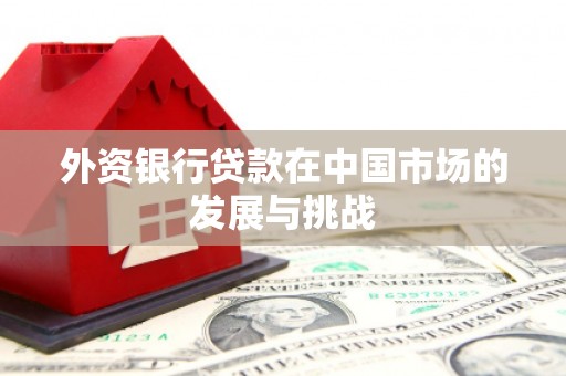 清河外资银行贷款在中国市场的发展与挑战