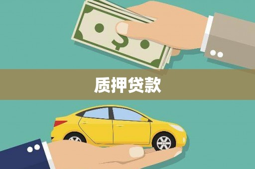 清河质押贷款