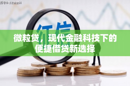 清河微粒贷，现代金融科技下的便捷借贷新选择