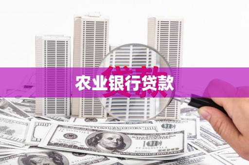 清河农业银行贷款