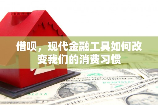 清河借呗，现代金融工具如何改变我们的消费习惯