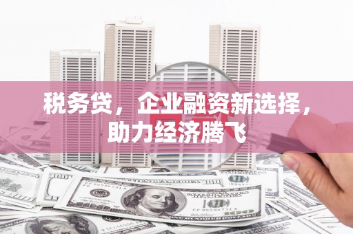 清河税务贷，企业融资新选择，助力经济腾飞