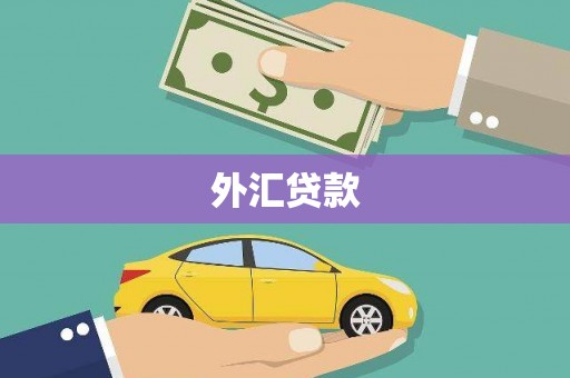 清河外汇贷款
