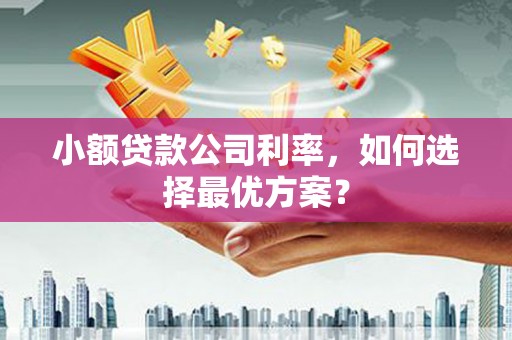 清河小额贷款公司利率，如何选择最优方案？