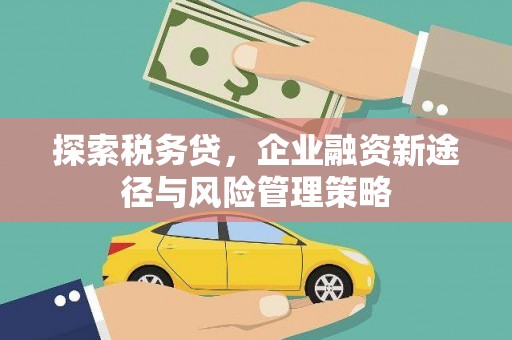 清河探索税务贷，企业融资新途径与风险管理策略