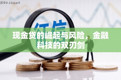 清河现金贷的崛起与风险，金融科技的双刃剑