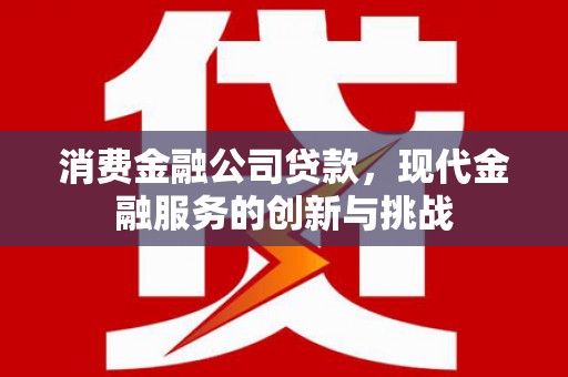 清河消费金融公司贷款，现代金融服务的创新与挑战