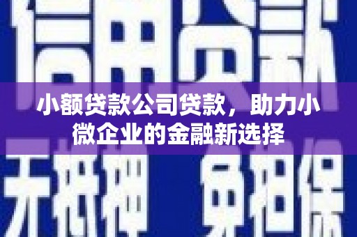清河小额贷款公司贷款，助力小微企业的金融新选择