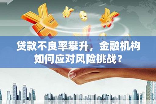 清河贷款不良率攀升，金融机构如何应对风险挑战？
