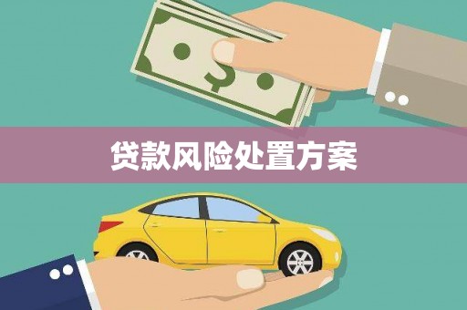 清河贷款风险处置方案