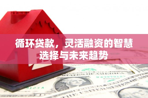 清河循环贷款，灵活融资的智慧选择与未来趋势