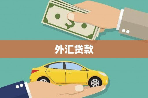 清河外汇贷款