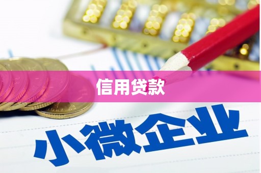 清河信用贷款
