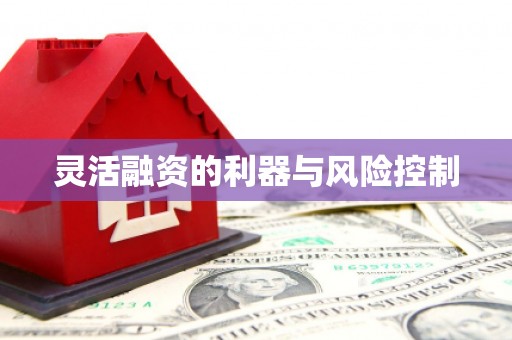 清河灵活融资的利器与风险控制