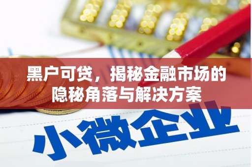 清河黑户可贷，揭秘金融市场的隐秘角落与解决方案